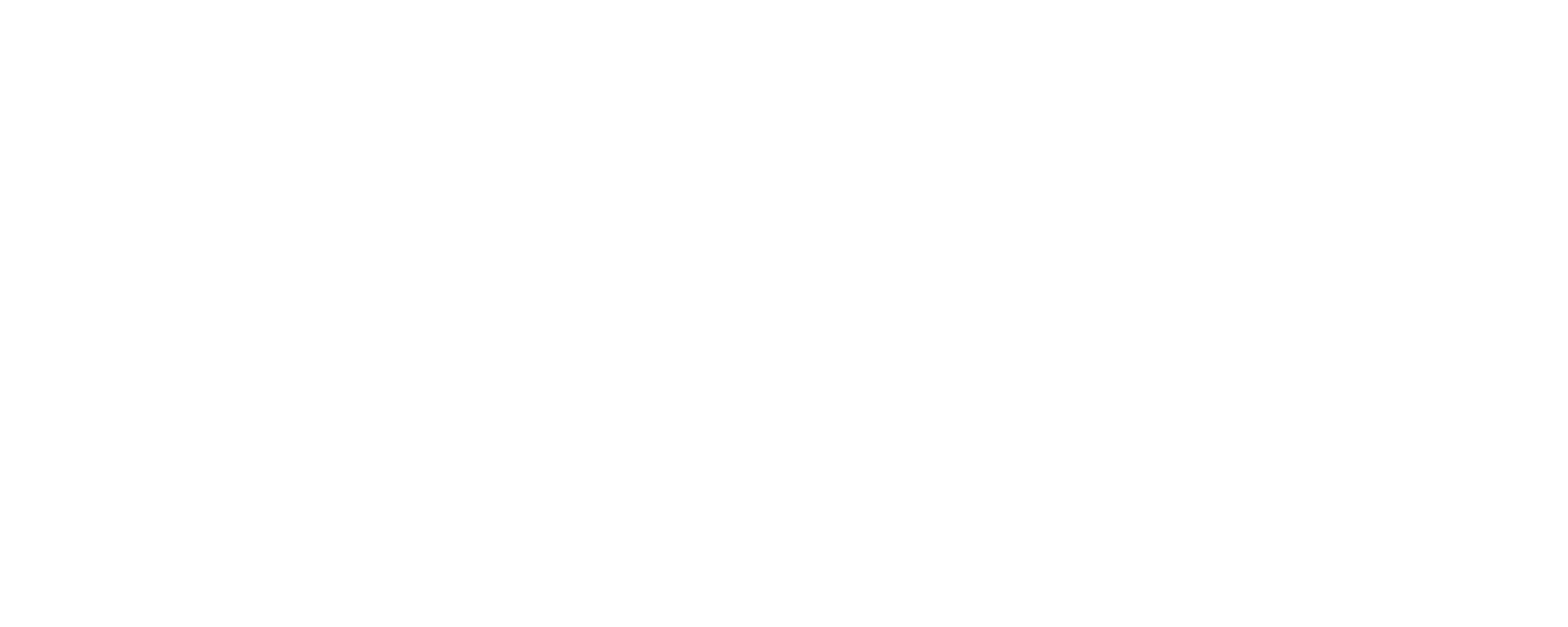 Framesi-logo
